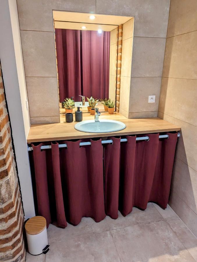 Douceur, Elegance Au Coeur D'Albi Exterior foto